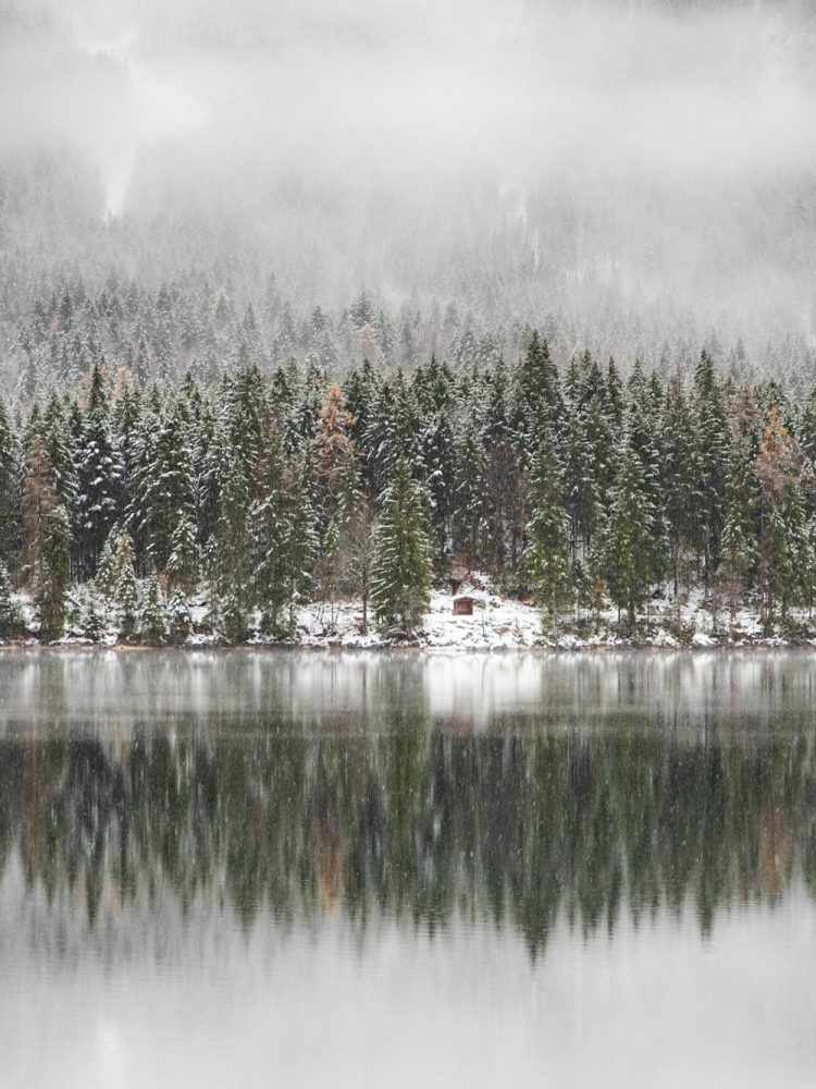 foggy lake in winter snowfall